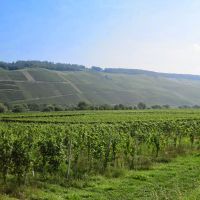 IMG 0212-001