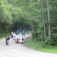 IMG 0732